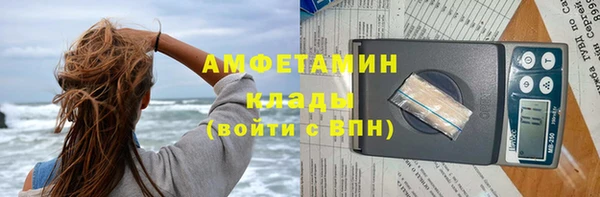 гидра Алексин