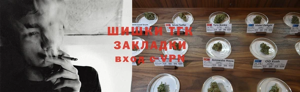 крисы Алзамай