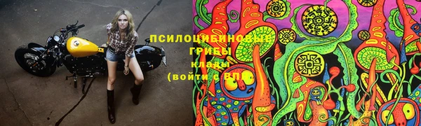 метадон Алексеевка