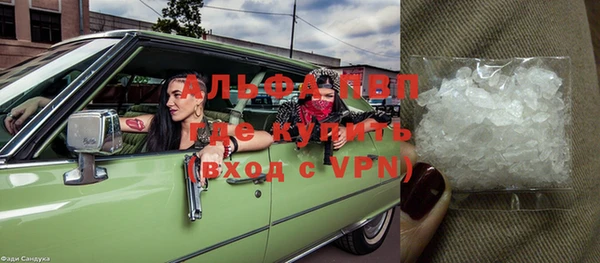 крисы Алзамай