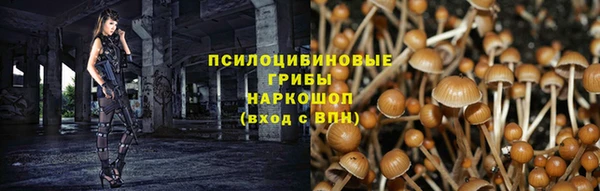 крисы Алзамай