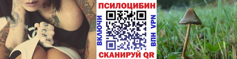 сколько стоит  Туймазы  Галлюциногенные грибы Psilocybine cubensis 